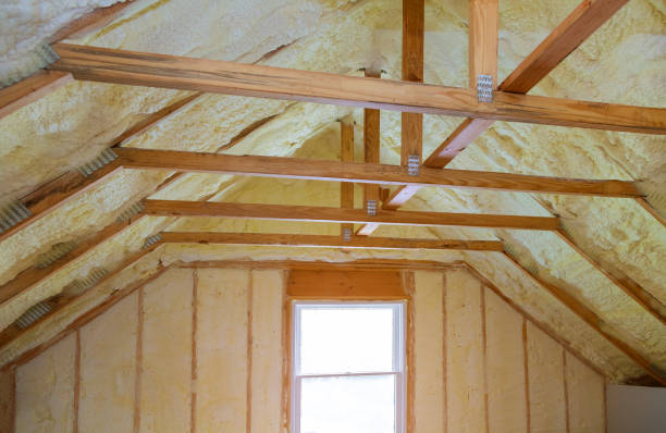 Best Eco-Friendly Insulation in Dublin, VA