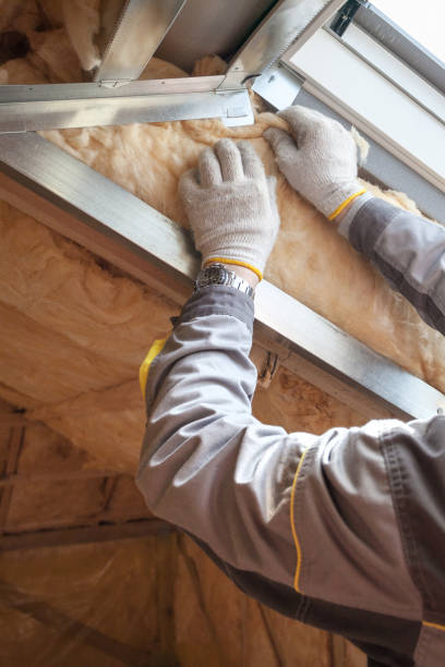 Best Blown-in Insulation in Dublin, VA