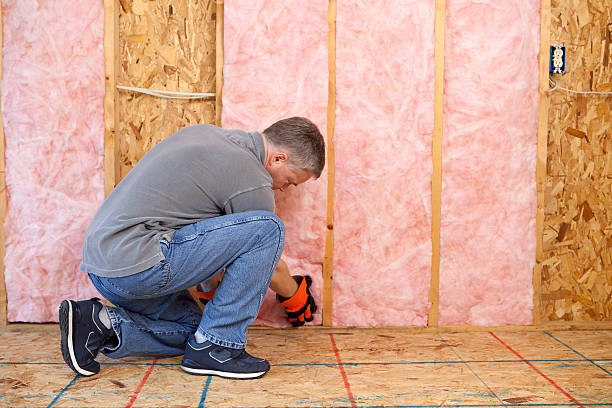 Best DIY Insulation Kits and Guidance in Dublin, VA